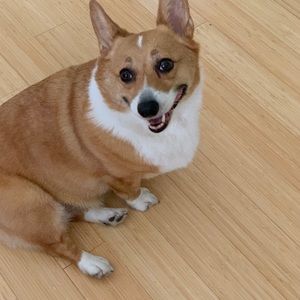 Meet your Posher, Christopher